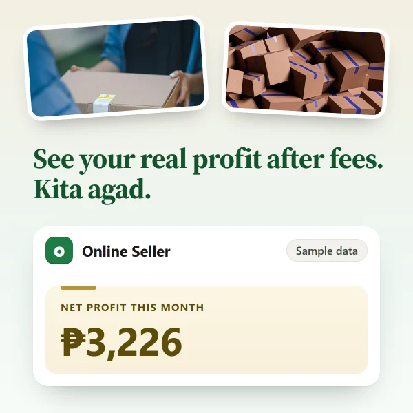 Online Seller app: net profit this month, sample data