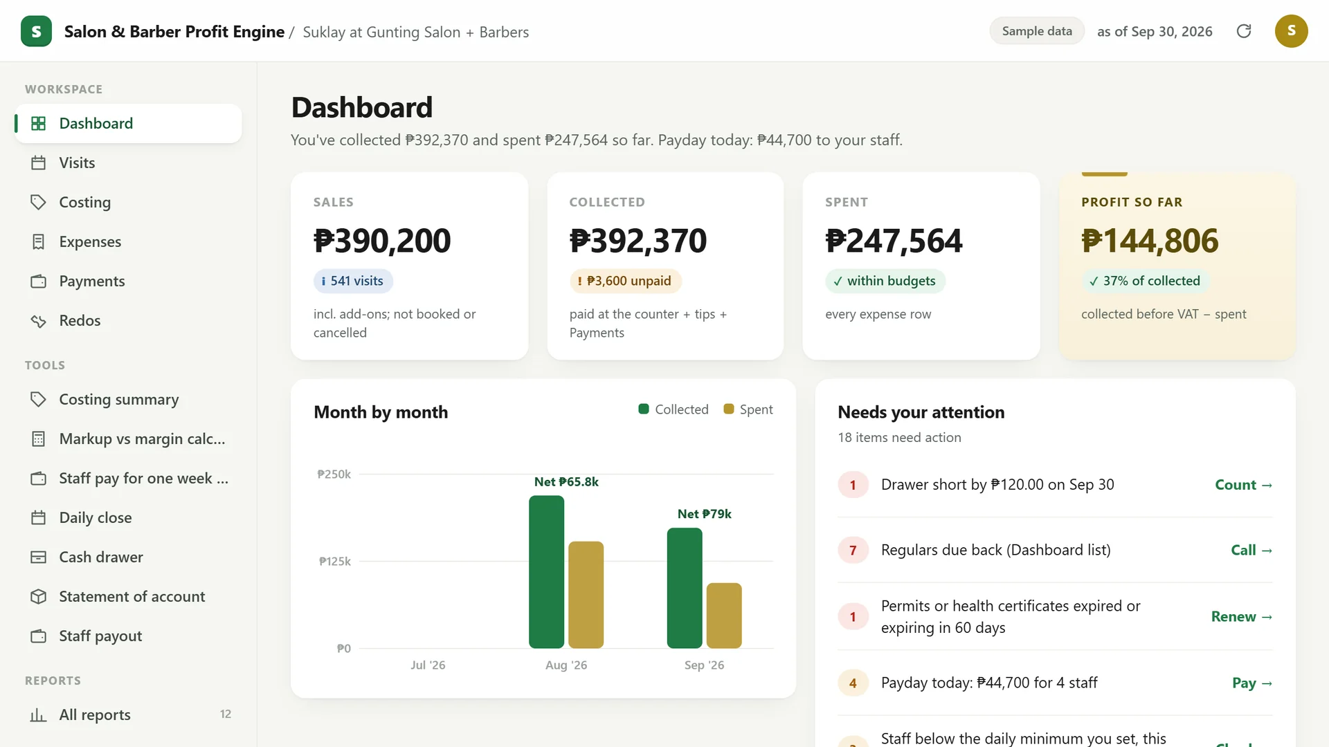Profit Engine app: dashboard with sales, collected, spent, profit so far and what needs your attention (sample data)