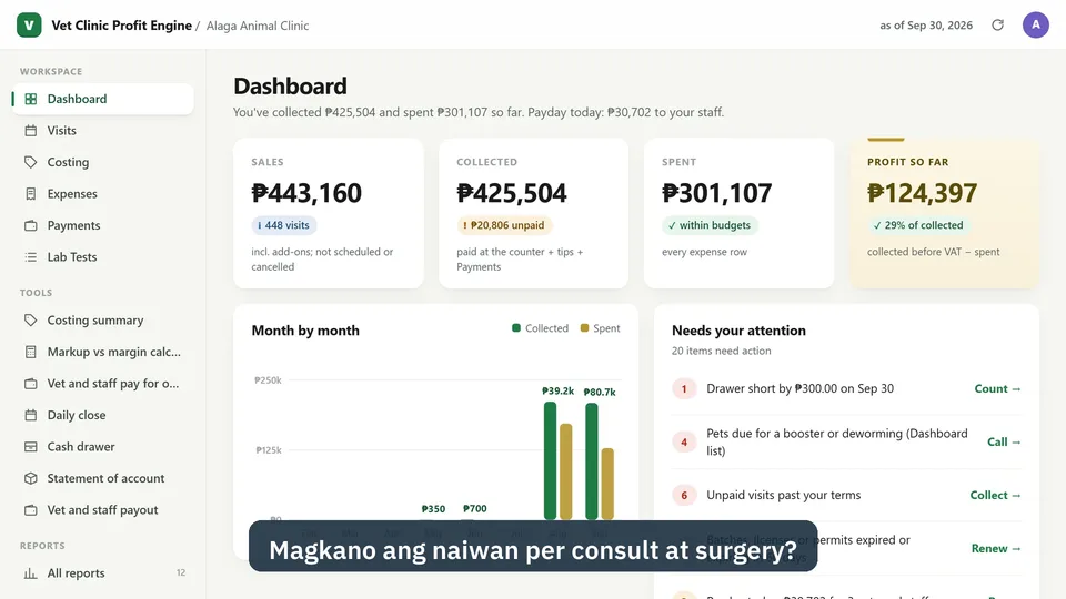40-second tour of the Vet Clinic Profit Engine app
